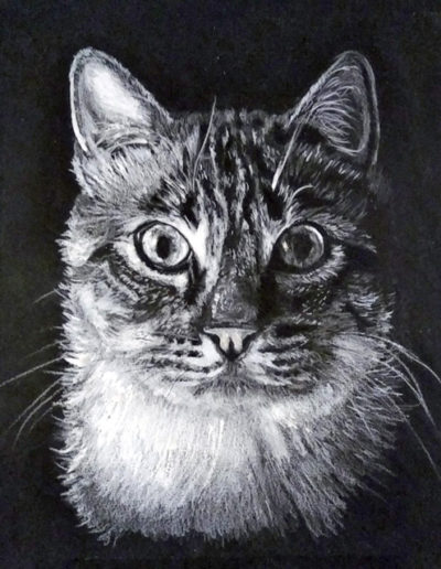 Cat Portrait White on Black Paper